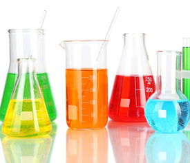 深圳非即飲型茶市場 從傳統到現代的健康新風尚