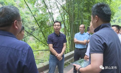 代軍深入龍華鎮(zhèn)調(diào)研指導(dǎo)，聚焦旅游項目開發(fā)新藍圖